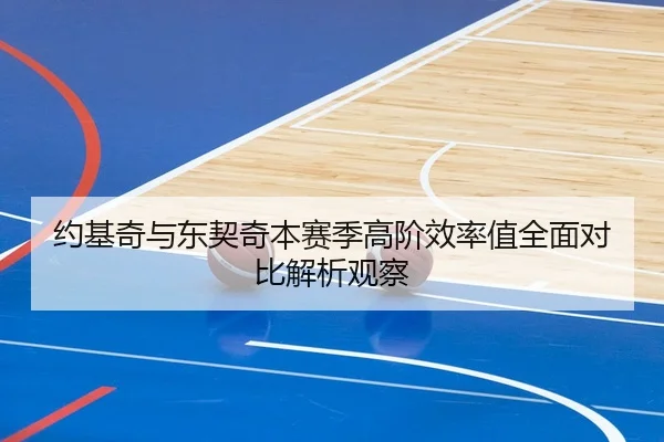 约基奇与东契奇本赛季高阶效率值全面对比解析观察